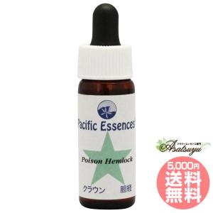 DURANCE（デュランス） エッセンシャルオイルディフューザー噴霧器