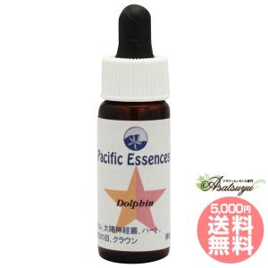 T1 コルテPHIエッセンス T1エッセンス フラワーエッセンス : 癒