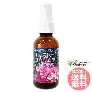【予約品】ビーイングトゥルーワース パシフィックエッセンス フラワーエッセンス ビーイング トゥルーワース ( 30ml )/ パシフィックエッセンス : 爽快