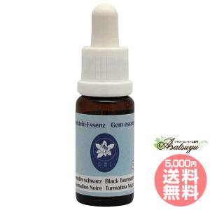 【予約品】ビーイングトゥルーワース パシフィックエッセンス フラワーエッセンス ビーイング トゥルーワース ( 30ml )/ パシフィックエッセンス : 爽快