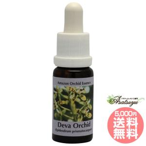 イルカ(デルフ)エッセンス ( 15ml )/ コルテPHI : 爽快ドラッグ - 通販