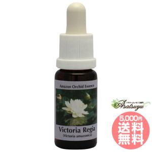 イルカ(デルフ)エッセンス ( 15ml )/ コルテPHI : 爽快ドラッグ - 通販