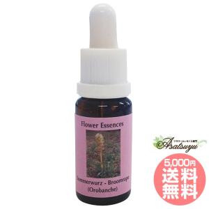 【専用】メディテーション『瞑想』オーストラリアンブッシュ　フラワーエッセンス　他 メディテーション 瞑想 オーストラリアンブッシュ コンビネーション
