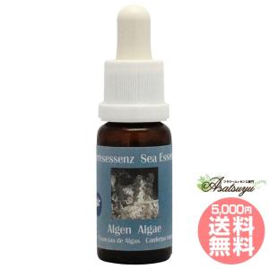 イルカ(デルフ)エッセンス ( 15ml )/ コルテPHI : 爽快ドラッグ - 通販