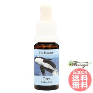イルカ(デルフ)エッセンス ( 15ml )/ コルテPHI : 爽快ドラッグ - 通販