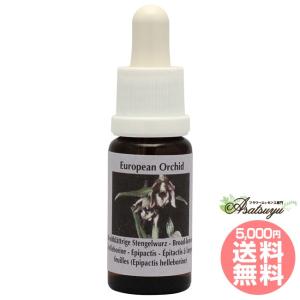 イルカ(デルフ)エッセンス ( 15ml )/ コルテPHI : 爽快ドラッグ - 通販