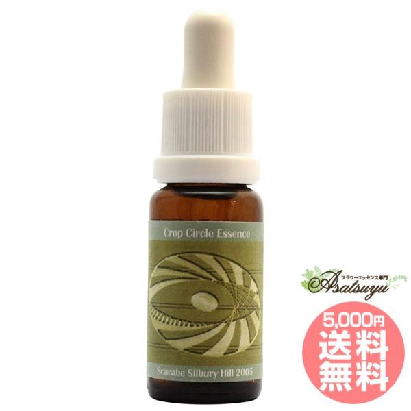 #80 Scarabe, Silbury Hill, UK 2005 コルテPHIエッセンス クロッ...