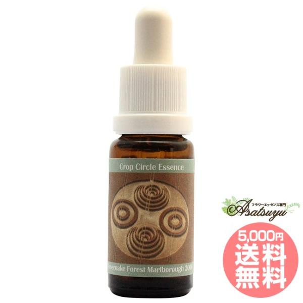 #84 Severnake Forest, Marlborough, UK 2006 コルテPHIエ...