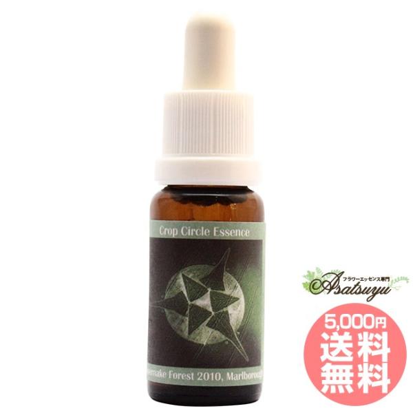 #124 Savernake Forest, Marlborough, UK 2010 コルテPHI...