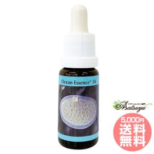 No.36 コルテPHIエッセンス オーシャンエッセンス : 癒やしのデパート