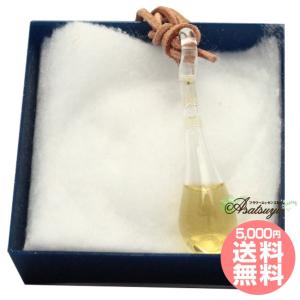 【専用】イルカ(デルフ)のペンダントとフラワーエッセンス　コルテPHI　他 イルカ(デルフ)[ドルフィン] コルテPHI フラワーエッセンス