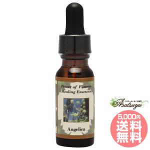【予約品】ビーイングトゥルーワース パシフィックエッセンス フラワーエッセンス ビーイング トゥルーワース ( 30ml )/ パシフィックエッセンス : 爽快