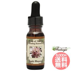 アバンダンスエッセンス ( 30ml )/ パシフィックエッセンス : 爽快