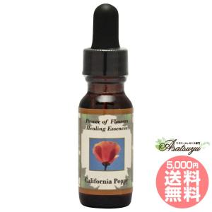 アバンダンスプログラムセット 日本語訳付 ( 1セット )/ パシフィック