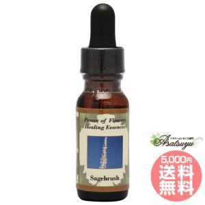 ヒマラヤン フラワー エンハンサーズ エクスタシー ( 15ml )/ : 爽快