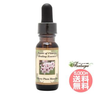 イルカ(デルフ)エッセンス ( 15ml )/ コルテPHI : 爽快ドラッグ