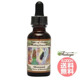 アバンダンスプログラムセット 日本語訳付 ( 1セット )/ パシフィック