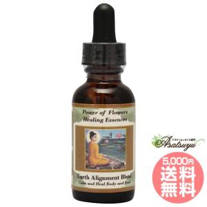 アバンダンスプログラムセット 日本語訳付 ( 1セット )/ パシフィック