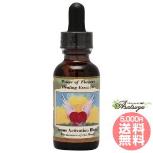 【専用】シルバーソード　統合　パワーオブフラワーヒーリング フラワーエッセンス他 シルバーソード 30ml パワーオブフラワーヒーリング