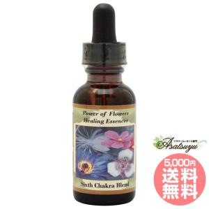 シルバーソード 30ml パワーオブフラワーヒーリング