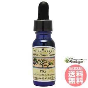 No.36 コルテPHIエッセンス オーシャンエッセンス : 癒やしのデパート