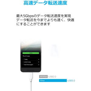 Anker USB Type C ケーブル P...の詳細画像2
