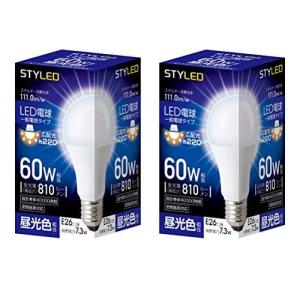 一般電球 密閉器具対応 昼光色 2個セット HA6T26D2