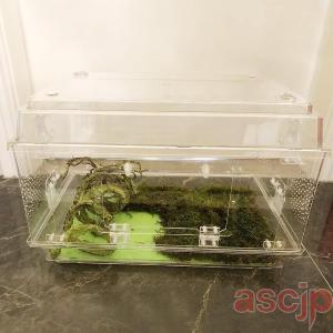 飼育ボックス、アクリル繁殖ケージ、トカゲ ケー...の詳細画像2