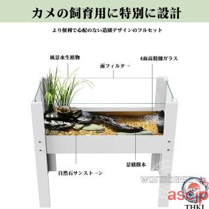 タートルボックス テラリウム 飼育ボックス 木...の詳細画像2