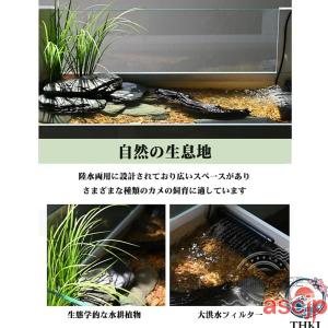 タートルボックス テラリウム 飼育ボックス 木...の詳細画像5