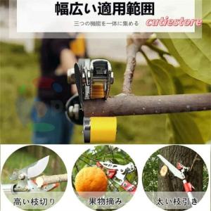 高枝切りバサミ 3m 4m 5m 伸縮式高枝切...の詳細画像1