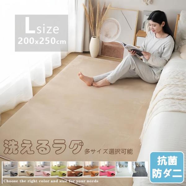 ラグ カーペット 低反発ラグマット 一年中使える 約200cm×250cm 水色 床暖対応 3畳 ラ...
