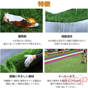 耐久性の人工芝 ロール ベランダ・庭 芝生マッ...の詳細画像3