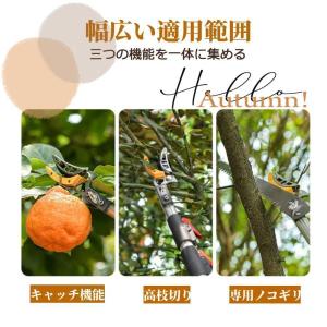 高枝切りバサミ 高枝切鋏 伸縮式高枝切り鋏 高...の詳細画像2