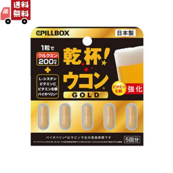 ピルボックスジャパン PILLBOX JAPAN 乾杯 ウコン GOLD 5粒