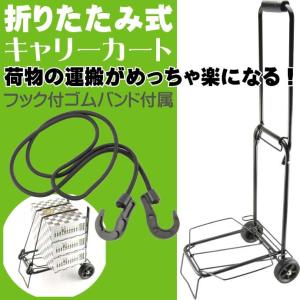 折りたたみ式キャリーカート20Kg 台車がわりのキャリーカート 荷物運搬に便利なキャリーカート アウトドアで活躍するキャリーカート Ah066