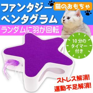 猫のおもちゃ ファンタジーペンタグラム 紫 BTM1820-P ペット用品 ファンタジーワールド ネコじゃらし Fa5328