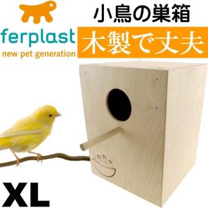 木製巣箱 角型 小型サイズ 小鳥・インコの巣箱 : とりっぴー小鳥用品