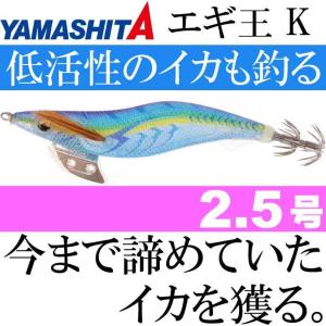 エギラック V2 エギ収納ケース 4号まで餌木20本収納可能 第一精工