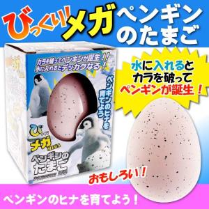 送料無料 びっくりメガたまご ペンギン 卵から生まれて大きくなる 育てている感が出て毎日楽しく眺めれるおもちゃ Ms9 Ms Avail 通販 Yahoo ショッピング