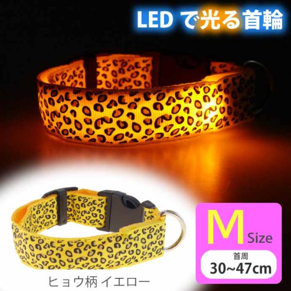 光る 首輪 充電式LED イエローヒョウ柄 M 首周30〜47cm 発光 夜間散歩 犬 ペット用品 ...