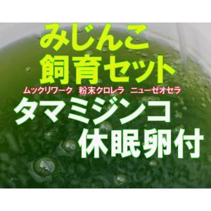 タマ ミジンコ　みじんこ休眠卵　 飼育セット　ムックリワーク　粉末クロレラ