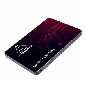Kingshark SSD 60GB SATA APROシリーズ