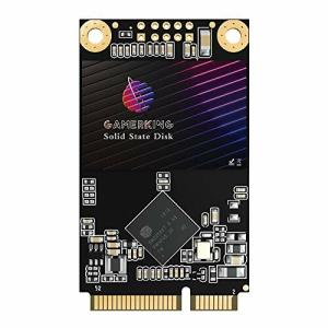 GamerKing Msata SSD 256GB SATA III 6Gb/s 内蔵型 Solid State Drive ハードドライブ 高性能ハードドライブノート/パソコン/デ