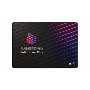 Gamerking SSD 256GB SATA III 2.5 Inch内蔵型 Solid State Driveノート/パソコン/適用 ソリッドステートドライブ (256GB, SATA3 2.5
