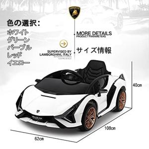 電動乗用カー 乗用玩具 電気自動車 電動自動車 子供用