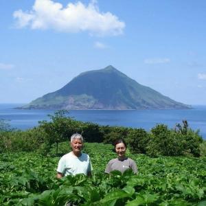 青汁 八丈島産 明日葉 青汁 アシタバ 100...の詳細画像4