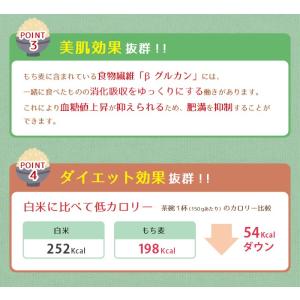 もち麦 900g 国産 押しもち麦 愛媛県 も...の詳細画像3