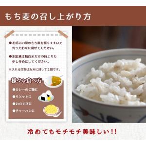 もち麦 900g 国産 押しもち麦 愛媛県 も...の詳細画像5