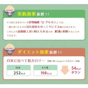 もち麦 5kg 国産 丸もち麦 ぷちぷち 愛媛...の詳細画像3